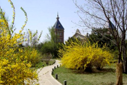 瀋陽市植物園