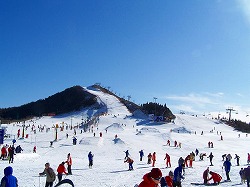 東北亜スキー場